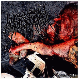 Hysterotomy : Promo 2017